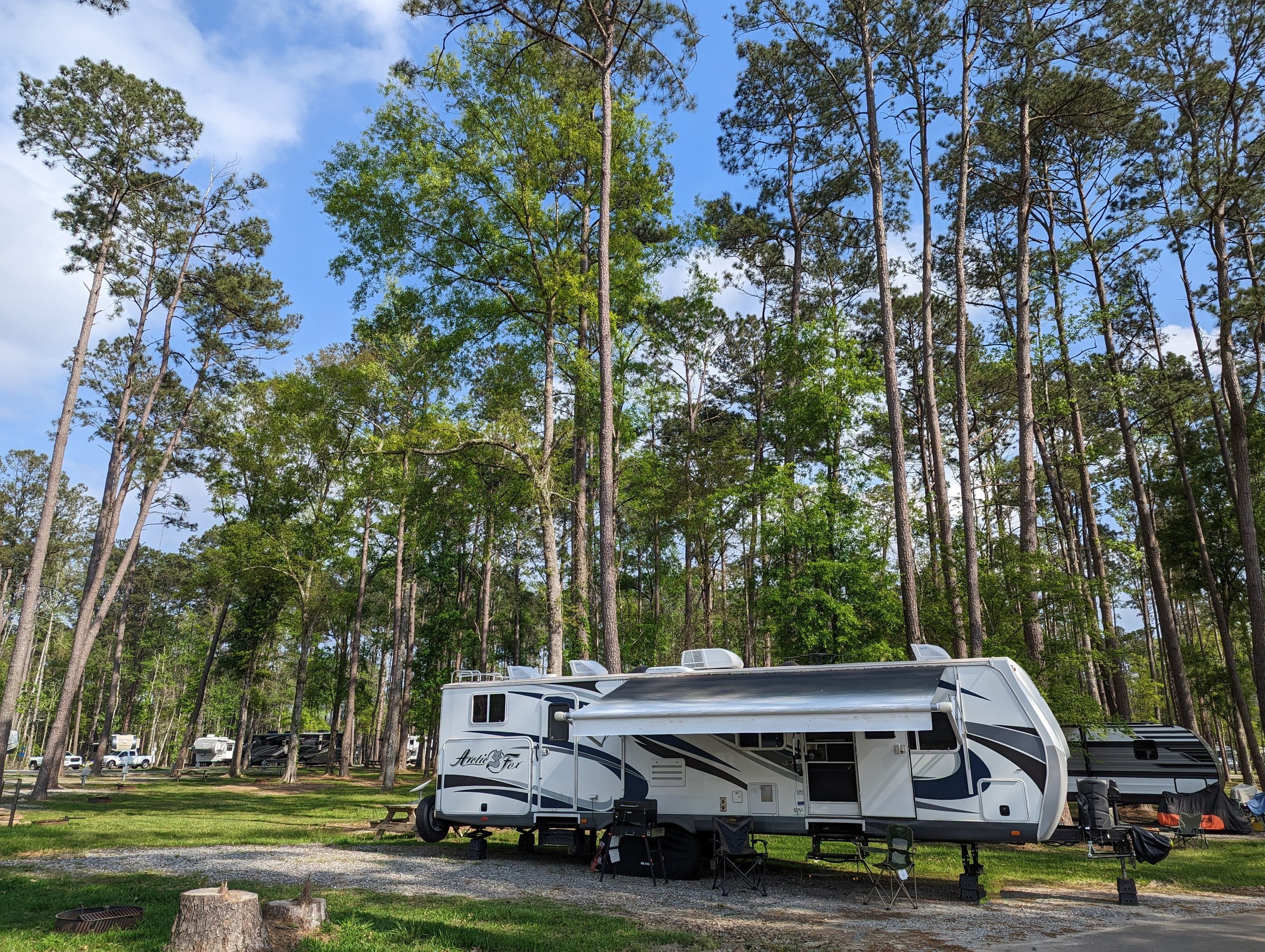 Fifth-wheel RV parked on a level gravel pad among tall pines at a Louisiana campground