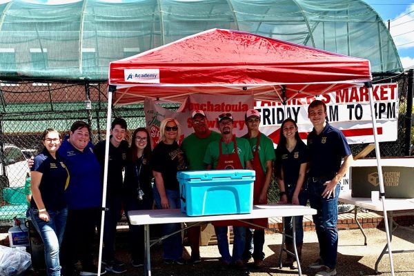 74493917_2639275872861662_6699899809232322560_n