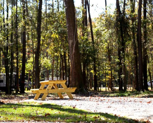 RV camp site with picnic table at Fireside RV Resort in Robert, Louisiana