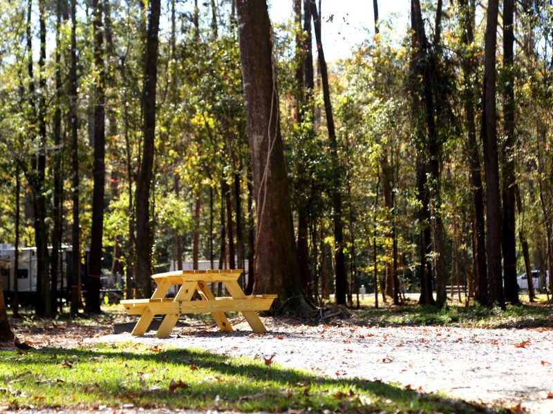 RV camp site with picnic table at Fireside RV Resort in Robert, Louisiana