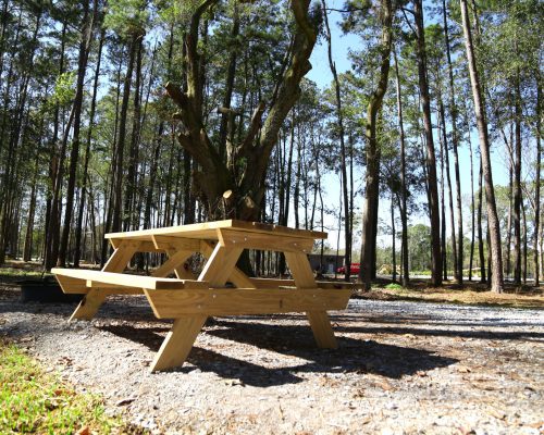 RV camp site with picnic table at Fireside RV Resort in Robert, Louisiana