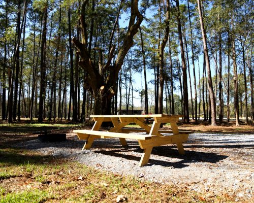 RV camp site with picnic table at Fireside RV Resort in Robert, Louisiana