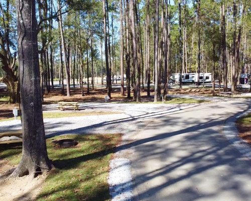 RV camp sites at Fireside RV Resort campground in Robert, Louisiana